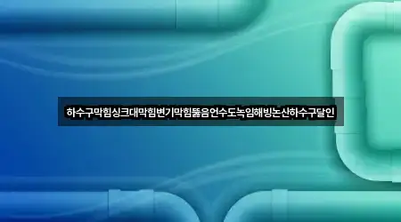 하수구막힘싱크대막힘변기막힘뚫음언수도녹임해빙논산하수구달인