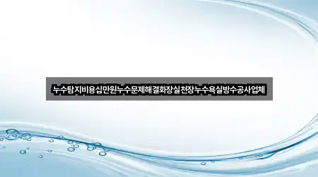 누수탐지비용십만원누수문제해결화장실천장누수욕실방수공사업체