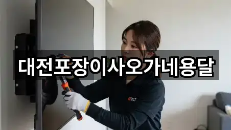 대전포장이사오가네용달