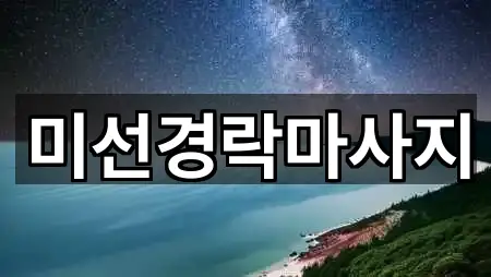 미선경락마사지