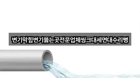 변기막힘변기뚫는곳전문업체씽크대세면대수리뻥
