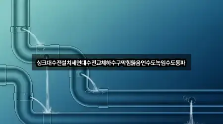 싱크대수전설치세면대수전교체하수구막힘뚫음언수도녹임수도동파