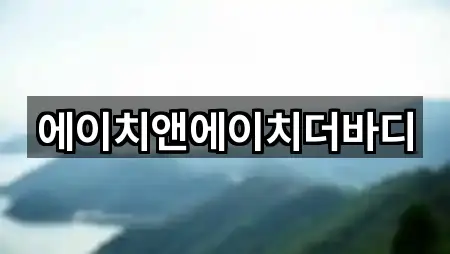 에이치앤에이치더바디