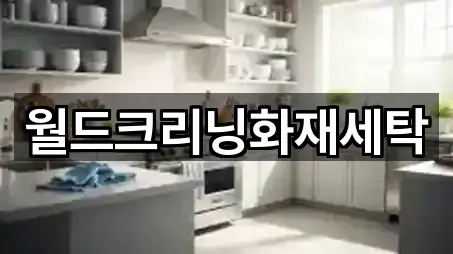 월드크리닝화재세탁