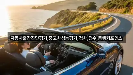 자동차출장진단평가,중고차성능평가,검차,검수,동행카포인스