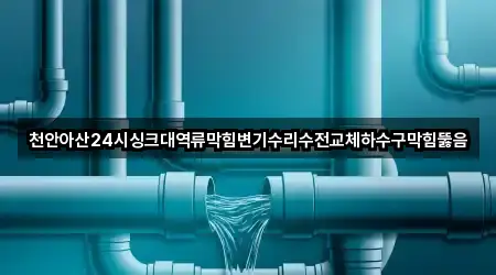 천안아산24시싱크대역류막힘변기수리수전교체하수구막힘뚫음