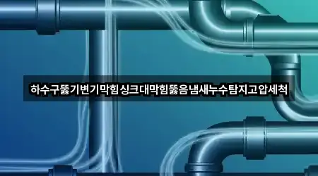 하수구뚫기변기막힘싱크대막힘뚫음냄새누수탐지고압세척