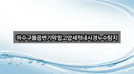 하수구뚫음변기막힘고압세척내시경누수탐지