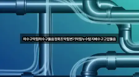 하수구막힘하수구뚫음정화조막힘변기막힘누수탐지배수구고압뚫음