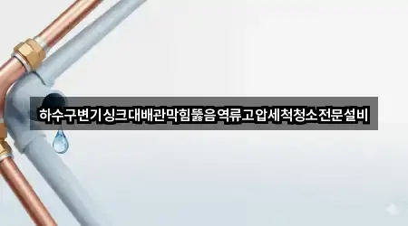 하수구변기싱크대배관막힘뚫음역류고압세척청소전문설비