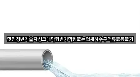 멋진청년기술자싱크대막힘변기막힘뚫는업체하수구역류뚫음뚫기