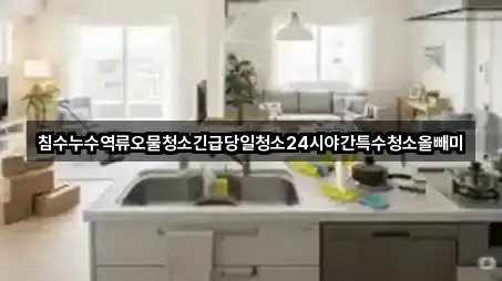 침수누수역류오물청소긴급당일청소24시야간특수청소올빼미