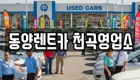 강원 동해시 지흥동 렌트카 전문 동양렌트카 천곡영업소