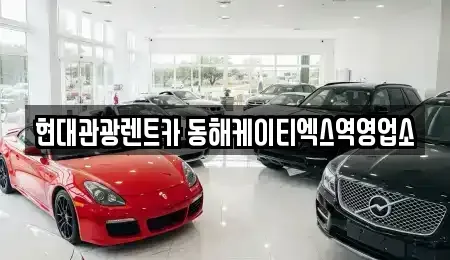 강원 동해시 지흥동 장기렌트카 전문 현대관광렌트카 동해케이티엑스역영업소