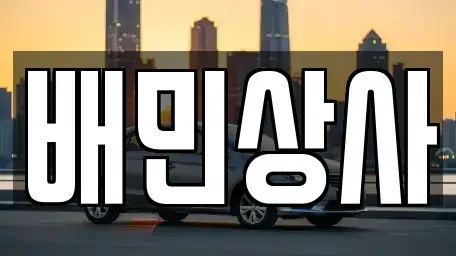 강원 삼척시 사직동 중고차 전문 배민상사