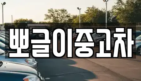 강원 삼척시 사직동 중고차 전문 뽀글이중고차