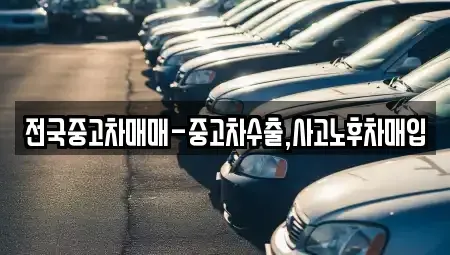 강원 삼척시 사직동 중고차매입 전문 전국중고차매매-중고차수출,사고노후차매입