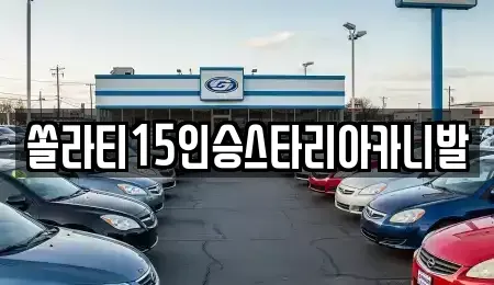 강원 영월군 무릉도원면 렌트카 전문 쏠라티15인승스타리아카니발