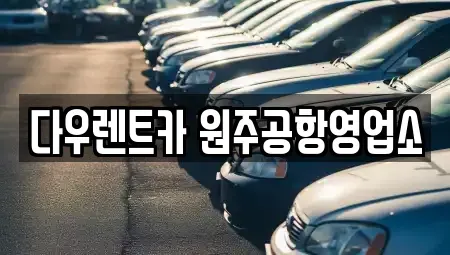 강원 횡성군 횡성읍 렌트카 전문 다우렌트카 원주공항영업소