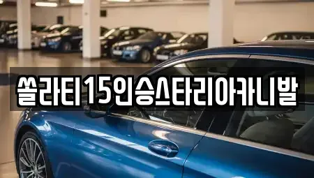 강원 횡성군 횡성읍 렌트카 전문 쏠라티15인승스타리아카니발