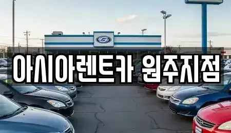 강원특별자치도 원주시 행구동 장기렌트카 전문 아시아렌트카 원주지점
