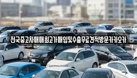 강원특별자치도 원주시 행구동 중고차매입 전문 전국중고차매매최고가매입및수출무료견적방문카카오카