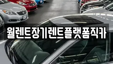 경기 과천시 관문동 장기렌트카 전문 월렌트장기렌트플랫폼직카