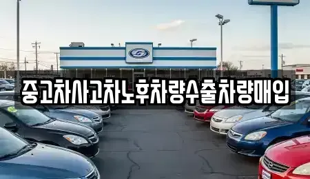 경기 과천시 관문동 중고차 전문 중고차사고차노후차량수출차량매입