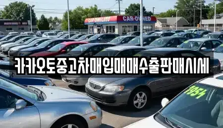 경기 과천시 관문동 중고차매입 전문 카카오토중고차매입매매수출판매시세