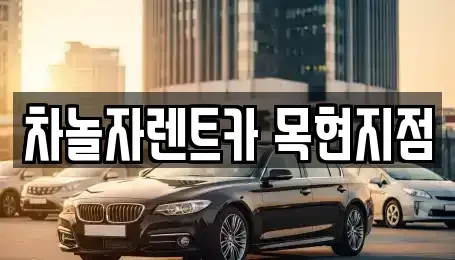 경기 광주시 회덕동 렌트카 전문 차놀자렌트카 목현지점