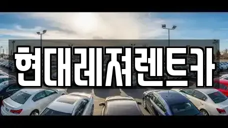 경기 광주시 회덕동 렌트카 전문 현대레져렌트카