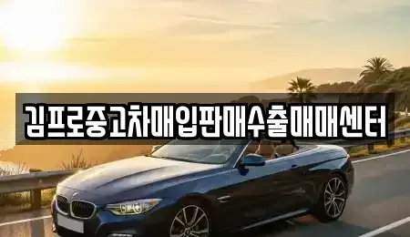 경기 광주시 회덕동 중고차매입 전문 김프로중고차매입판매수출매매센터