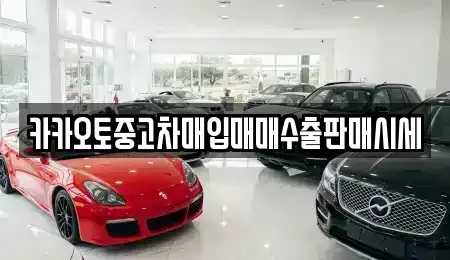 경기 광주시 회덕동 중고차매입 전문 카카오토중고차매입매매수출판매시세
