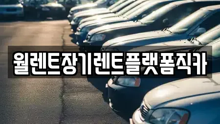 경기 성남시 수정구 상적동 장기렌트카 전문 월렌트장기렌트플랫폼직카