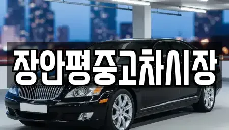 경기 성남시 수정구 상적동 중고차 전문 장안평중고차시장