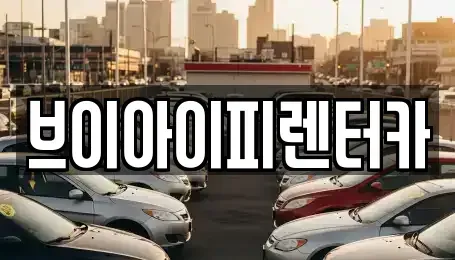 경기 파주시 교하동 렌트카 전문 브이아이피렌터카