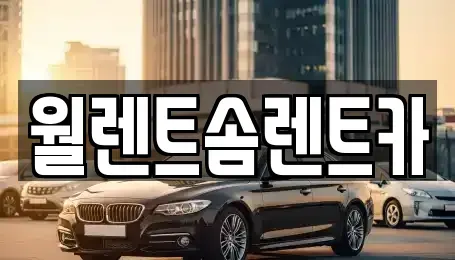 경기 파주시 교하동 렌트카 전문 월렌트솜렌트카