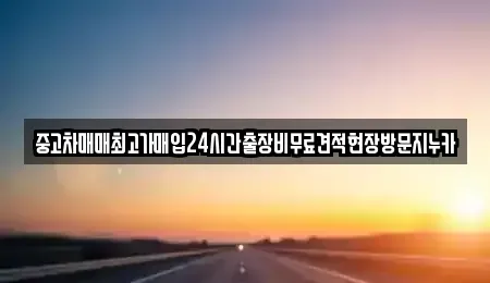 경기 파주시 교하동 중고차매매 전문 중고차매매최고가매입24시간출장비무료견적현장방문지누카