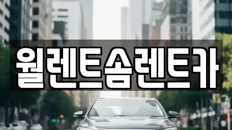경기 파주시 다율동 렌트카 전문 월렌트솜렌트카