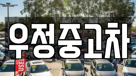 경기 파주시 다율동 중고차 전문 우정중고차