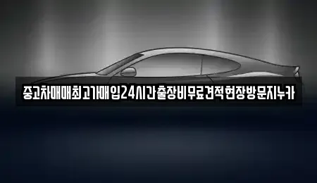 경기 파주시 다율동 중고차매매 전문 중고차매매최고가매입24시간출장비무료견적현장방문지누카
