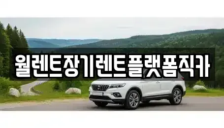 경기도 광주시 목동 렌트카 전문 월렌트장기렌트플랫폼직카