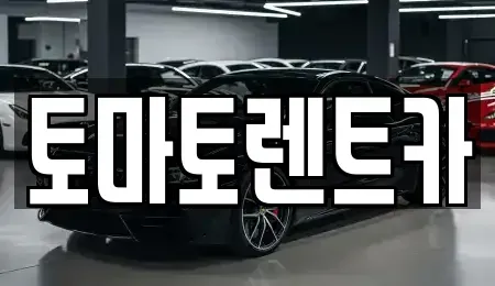 경기도 광주시 퇴촌면 렌트카 전문 토마토렌트카