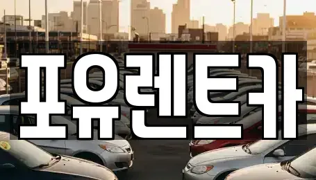 경기도 광주시 퇴촌면 장기렌트카 전문 포유렌트카