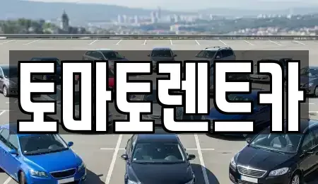 경기도 성남시 중원구 은행동 렌트카 전문 토마토렌트카