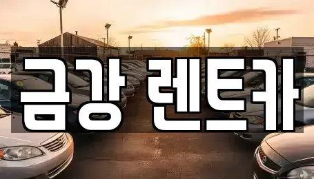 경기도 수원시 팔달구 남수동 렌트카 전문 금강 렌트카
