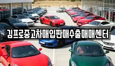 경기도 수원시 팔달구 남수동 중고차매입 전문 김프로중고차매입판매수출매매센터
