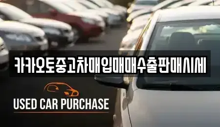 경기도 여주시 단현동 중고차 전문 카카오토중고차매입매매수출판매시세