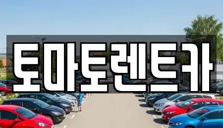 경기도 여주시 산북면 렌트카 전문 토마토렌트카