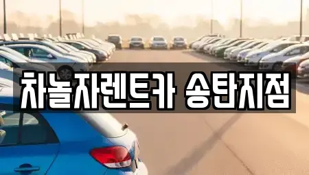 경기도 평택시 단기렌트카 전문 차놀자렌트카 송탄지점
